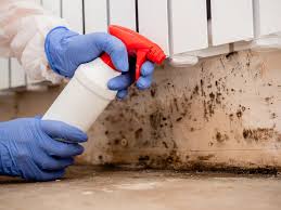 Best Biohazard Mold Removal  in Clairton, PA